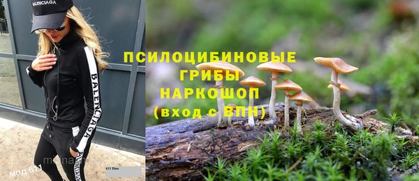 бошки Верея