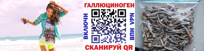 Псилоцибиновые грибы MAGIC MUSHROOMS  Купить где  Армавир 